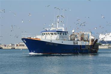 ICES releases fishing opportunities advice for Bay of Biscay, Iberian Waters, Celtic Seas, and Greater North Sea